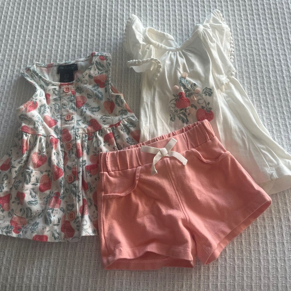 Baby girl clothing 3, 6, 9, 12 months.